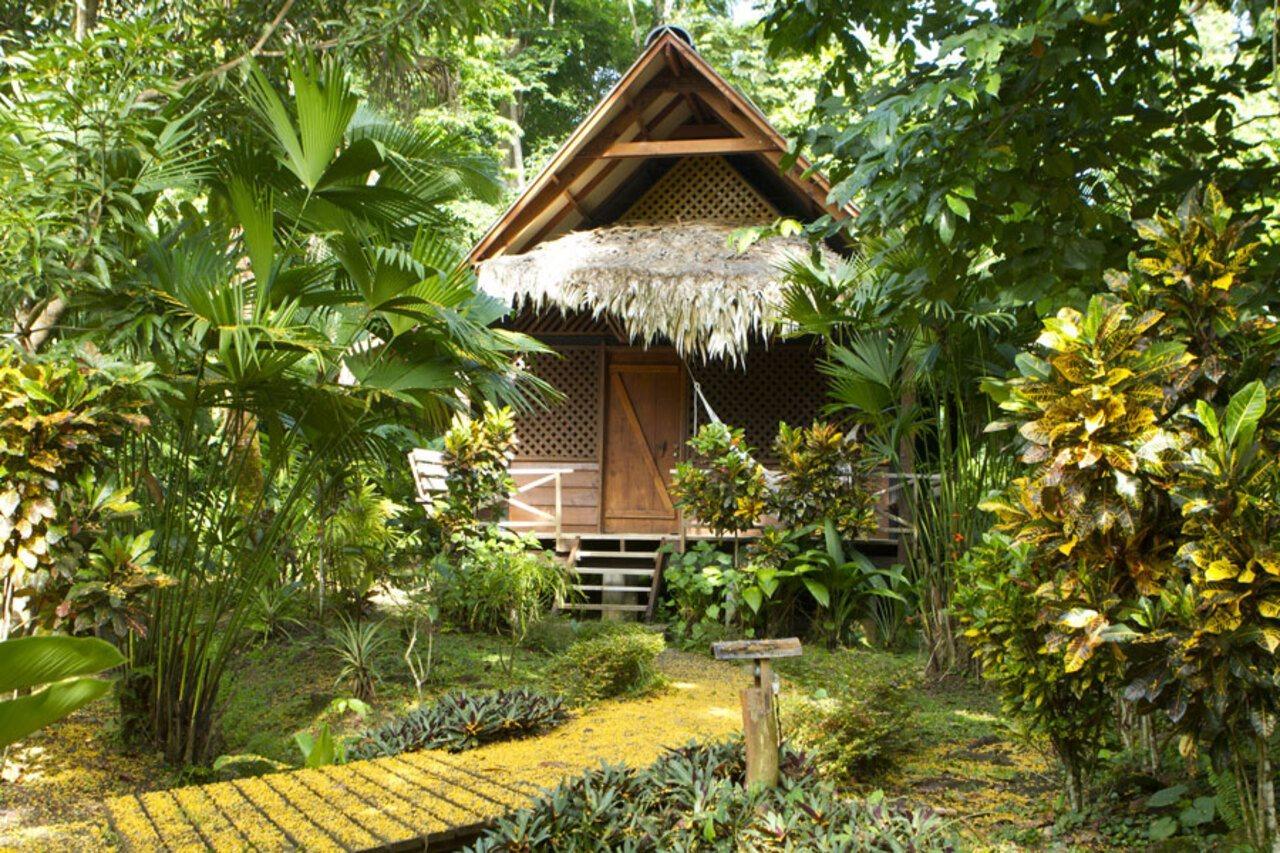 Azania Bungalows Puerto Viejo de Talamanca Esterno foto