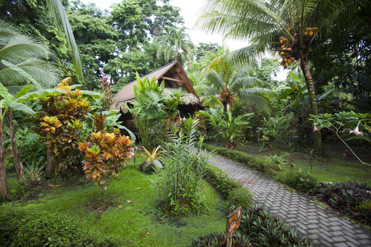 Azania Bungalows Puerto Viejo de Talamanca Esterno foto