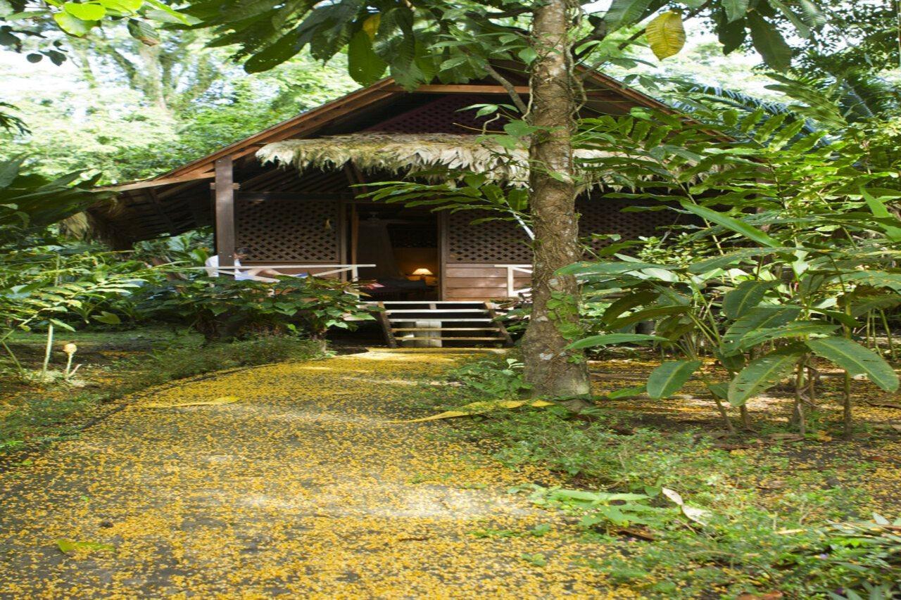 Azania Bungalows Puerto Viejo de Talamanca Esterno foto